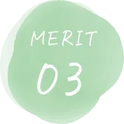 merit03