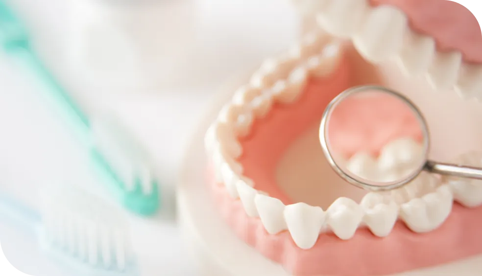 予防歯科・定期検診